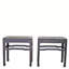 Pair of 19th Century Black Lacquered Side Tables