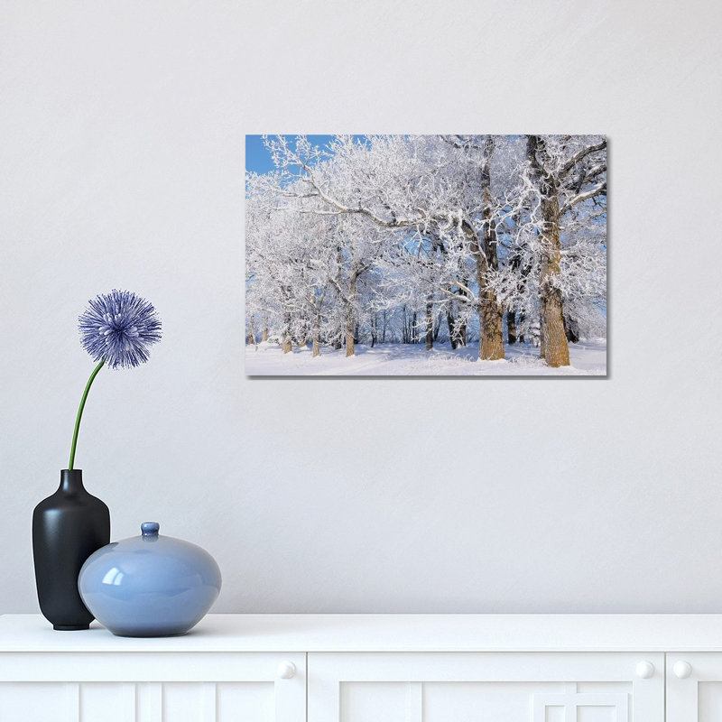 Winter Woodlot by Brian Wolf - Wrapped Canvas Print, 30.48cm H x 45.72cm W x 1.91cm D