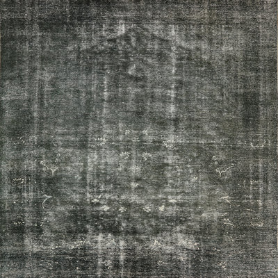 Janicki Oriental Indoor Rug