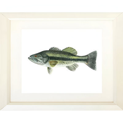 «Large Mouth Bass», reproduction de peinture acrylique encadrée