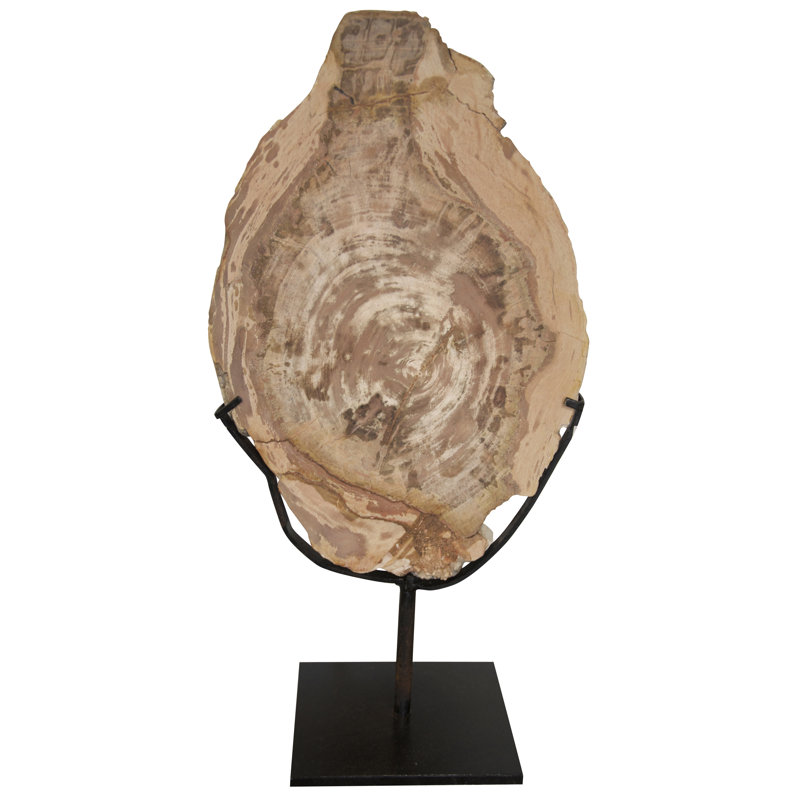 Fossil With Stand Sculpture