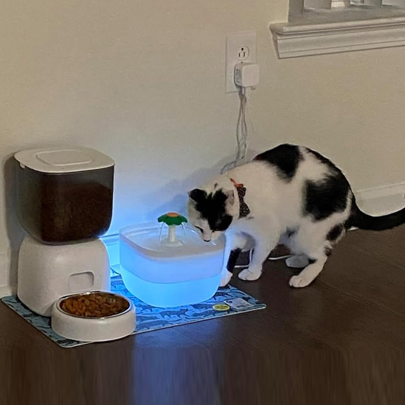 Distributeur automatique de nourriture pour chat avec fontaine à boire, Black