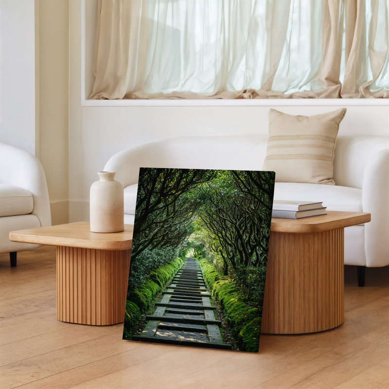 Toile, un sentier forestier serein serpente à travers un paysage vert luxuriant flanqué d'arbres torsadés avec une toile délicate à feuilles