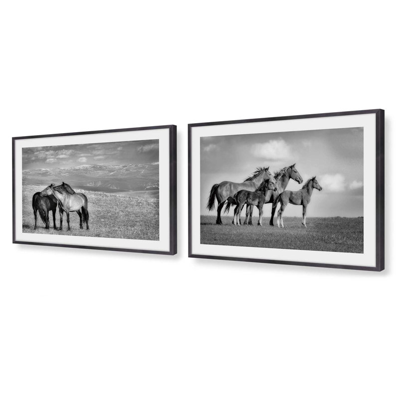 Free Spirits Set of 2 Prints in a Frame, 12.5" H x 29.5" W x 1.25" D, Weathered Zinc Framed