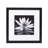 Set Of 9 13X13in Matted 8X8in MDF Frames-Black