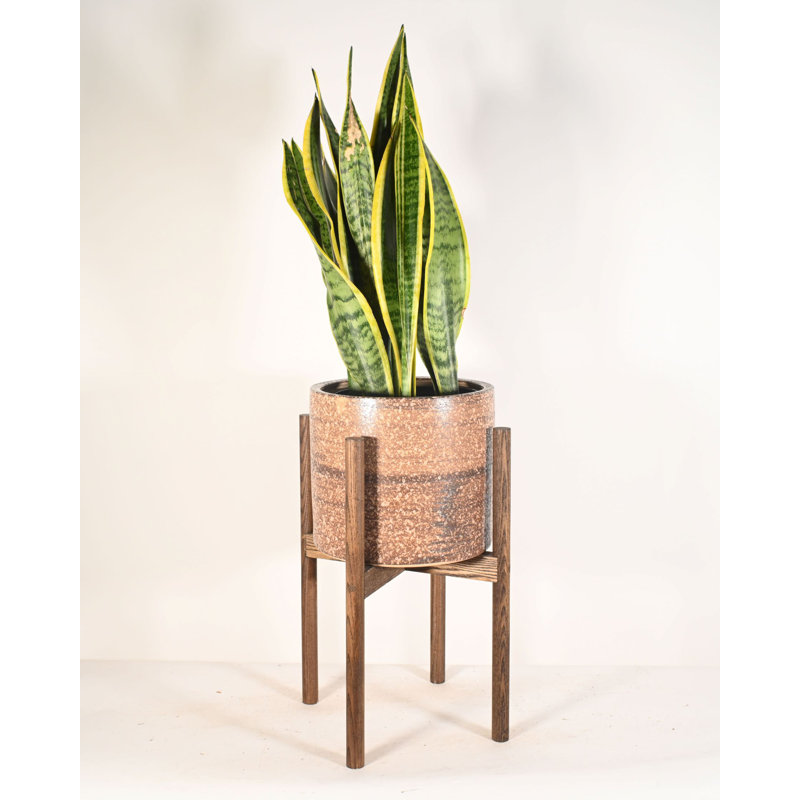 Heitzman Ceramic Pot Planter, Dark Walnut