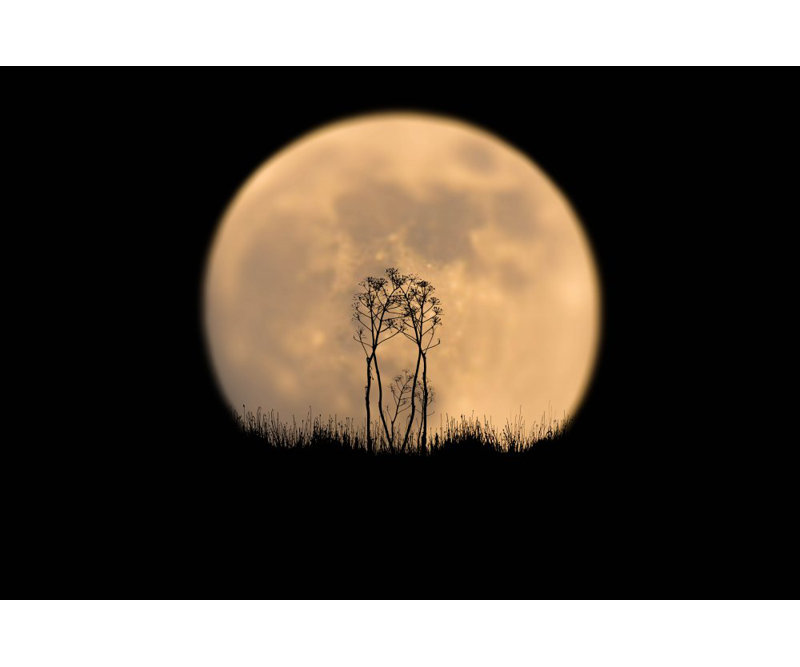 Wrapped Canvas Print, 60.96 cm H x 91.44 cm W