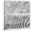 «Zebra», impression sur toile tendue-273134593