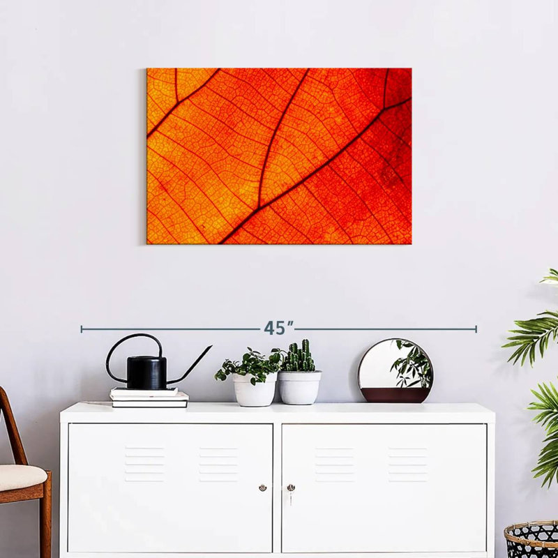 Harnek Autumn Leaf Venation