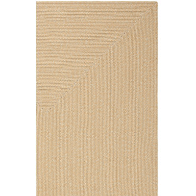 Braided Hand Woven Performance Machine Washable Solid Color Indoor/Outdoor Area Rug