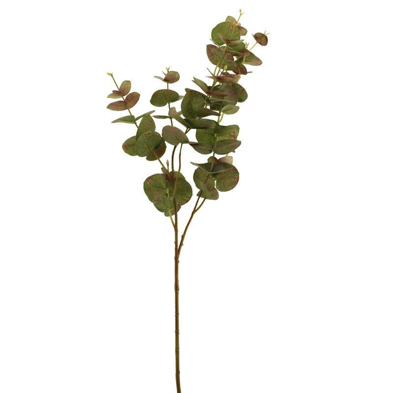 Eucalyptus Arrangement, Green