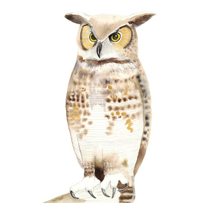Hoo Dis I by Alicia Ludwig - Wrapped Canvas Painting