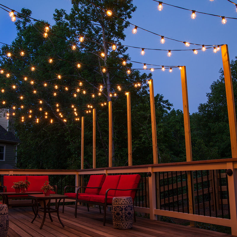 Alexandrea Outdoor 10 - Bulb 10'' Plug-in Globe String Light, Clear, Black