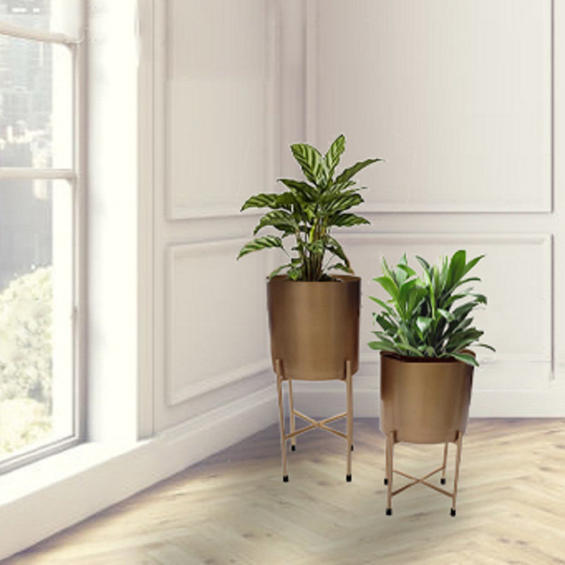 Jardinières en pot, 2