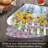 Springtime Garden 4 Piece Reversible Wedge Shaped Easy Care Placemats
