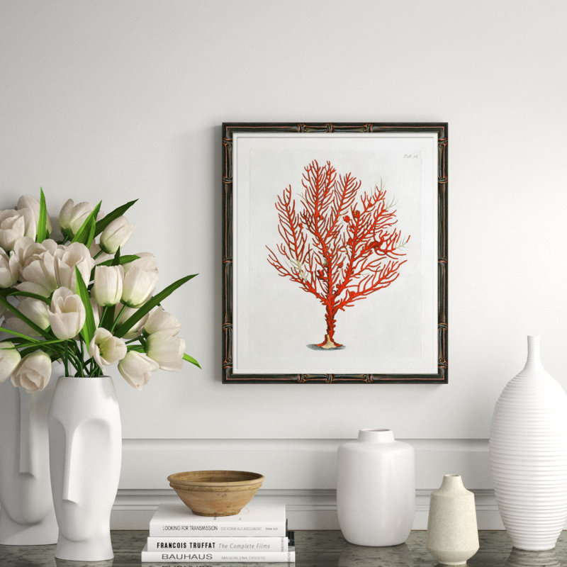 Red Coral Illustration IV Giclee Print by Soicher Marin Archives