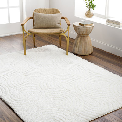 Carollyn Nomadic Machine Woven Polyester Area Rug in White