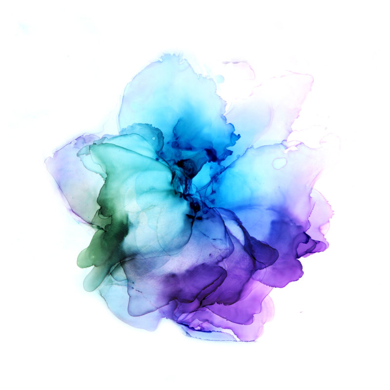 Watercolor Flower - Wrapped Canvas Painting, 30cm H x 30cm W x 3.8cm D