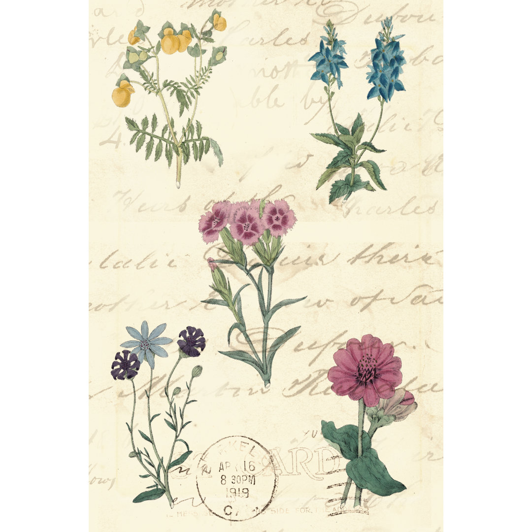 Leinwandbild Botanical Journal III