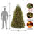 7.5 ft. Dunhill Fir Tree with Multi Color Lights