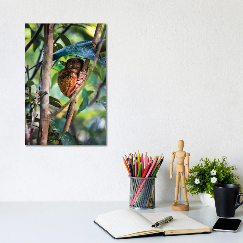 Tarsier, Philippines I by Matteo Colombo - Wrapped Canvas Gallery-Wrapped Canvas Giclée, 20.32 cm H x 30.48 cm W