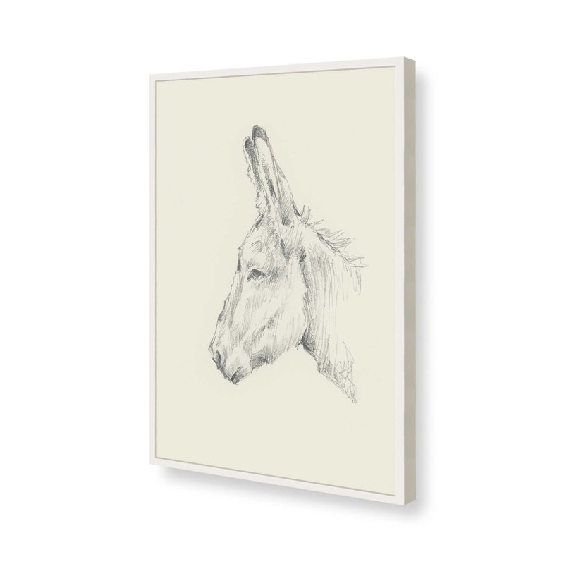 «Donkey Study II» par Ethan Harper, reproduction d'art sur toile, Impression sur cadre ouvert sans papier mat, Blanc