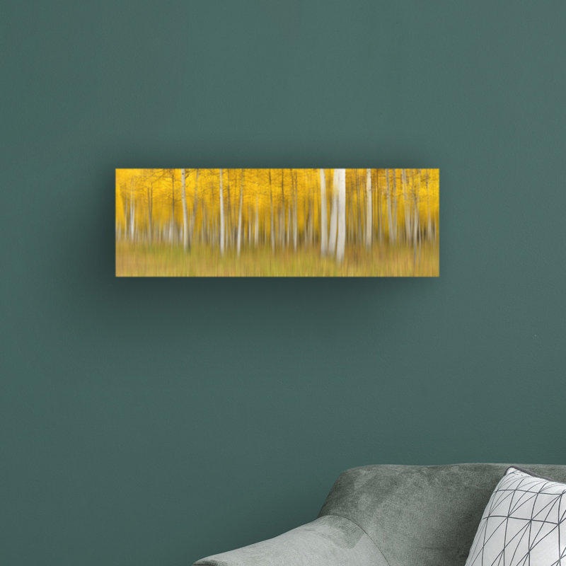 «Autumn Dream» par Mei Xu - reproduction de photo panoramique sur toile tendue, H 6 po x l 19 po x P 2 po