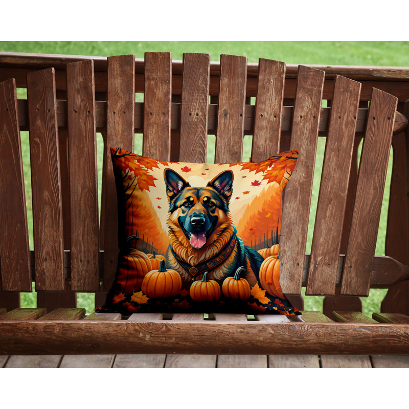 Other/No Pattern Outdoor Throw Pillow, 14" x 14"