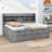 Tammeria Full / Double Daybed with Trundle-647689699