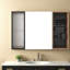 Spacious Medicine Cabinets With Storage, Plywood Glass Modern Bathroom