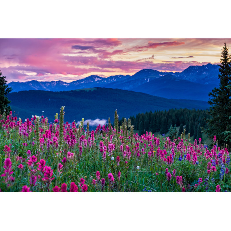 Wildflowers In The Gore Range by Adventure_Photo - Print, 30cm H x 46cm W