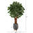 72'' Faux Lychee Tree in Clay Planter