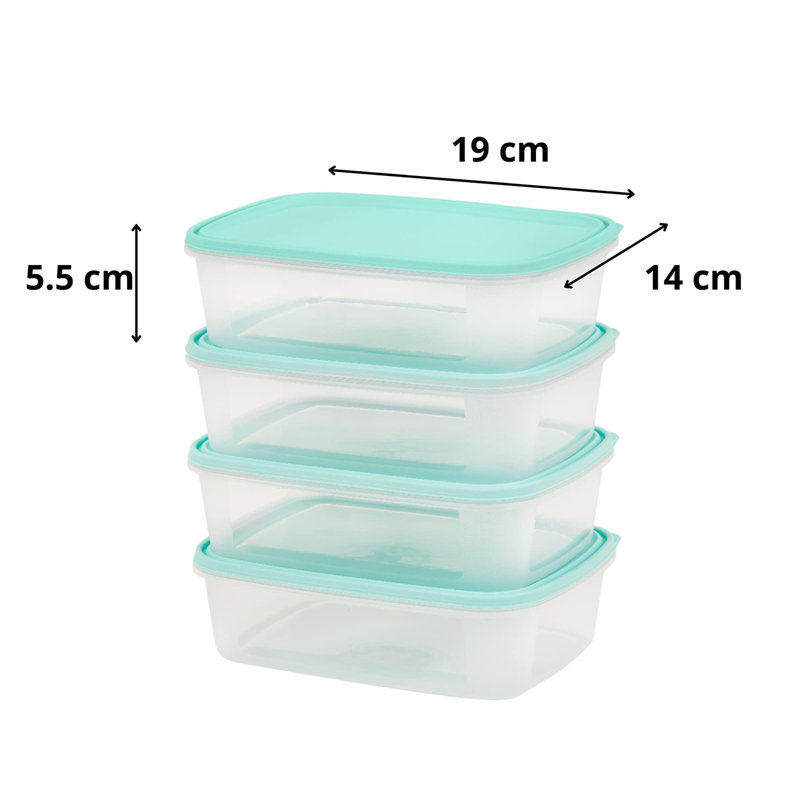Dashuan 1L Food Storage Container