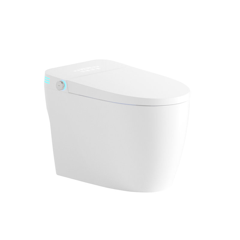 Smart Toilet With Built - In Bidet, One Piece Bidet Seat, Auto Flush, Open/Close, Heated Warm Water And Dry, Adjustable Temp, Remote Control, Sensor Open/Close Cover, Multiple Wash Modes, Night ,