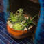 Steen Handmade Metal Cachepot-39150823-39150824