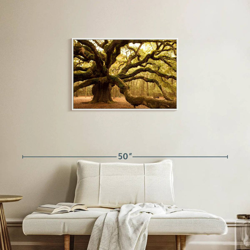 Chêne antique moussu, Cadre flottant blanc, 31 po x 21 po