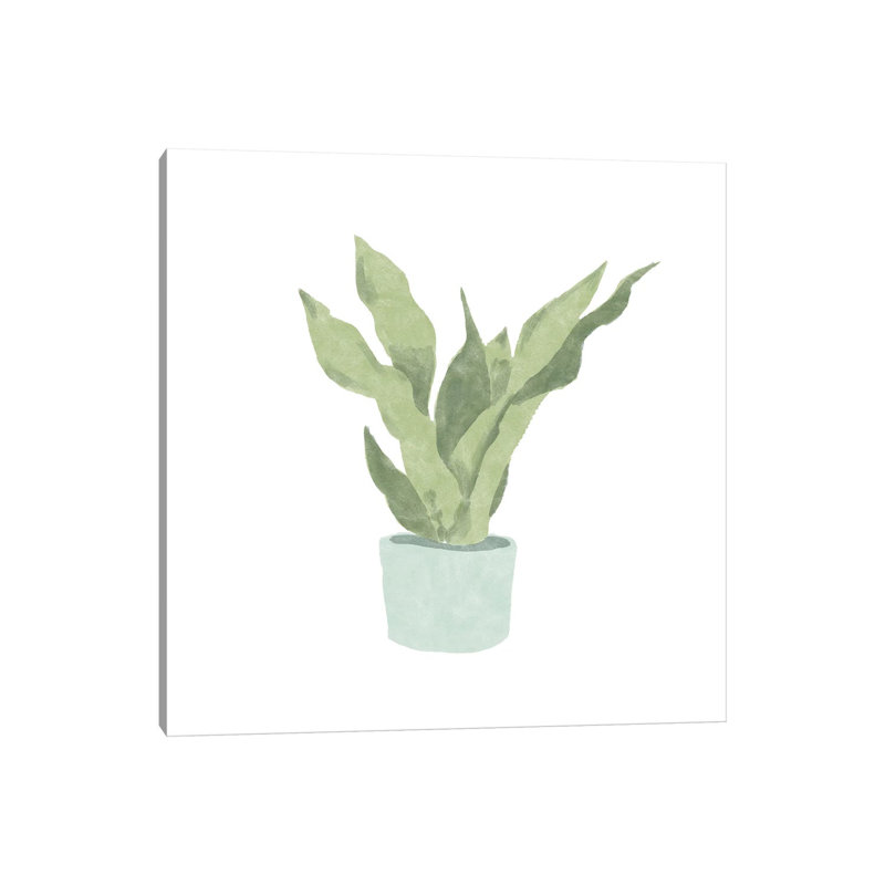 Snake Plant II by Bannarot - Wrapped Canvas Gallery-Wrapped Canvas Giclée, 30.48 cm H x 30.48 cm W