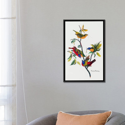 Painted Bunting by John James Audubon Painting Print on Canvas