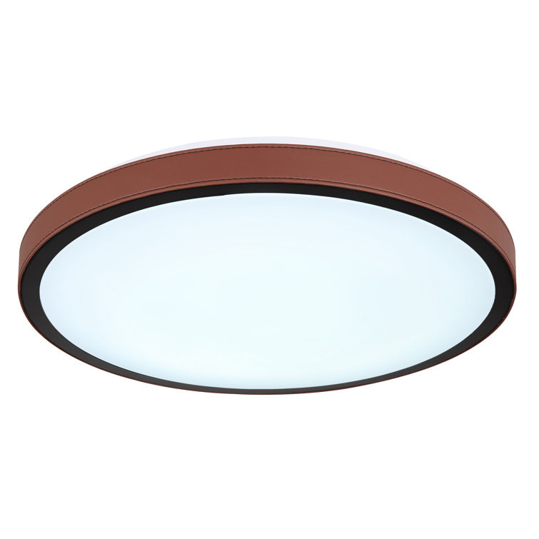 Ceiling light