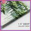 Toile Lush Green Forest-1540982890