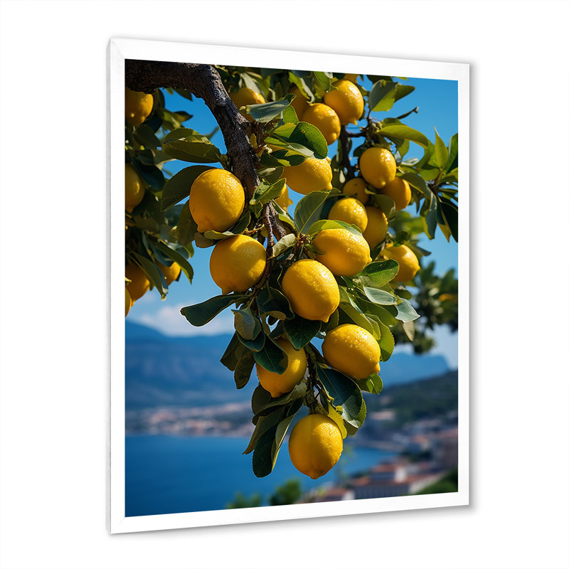 Italie Italie Sorrento Serenade II - impression, H 44 po x l 34 po x P 1,5 po, Cadre photo blanc