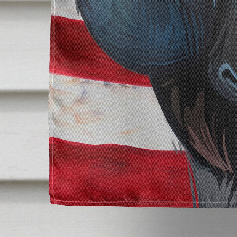 Polyester à 2 côtés 28 x 40 po drapeau maison, Chien d'arrêt frison