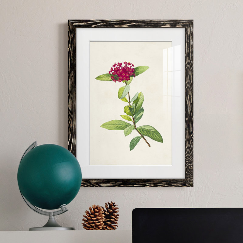 «Pretty Botanicals II», cadre photo, H 44 po x l 31 po x P 1 po, Cadre noir