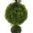 3' Artificial Double Ball Green Boxwood Topiary.