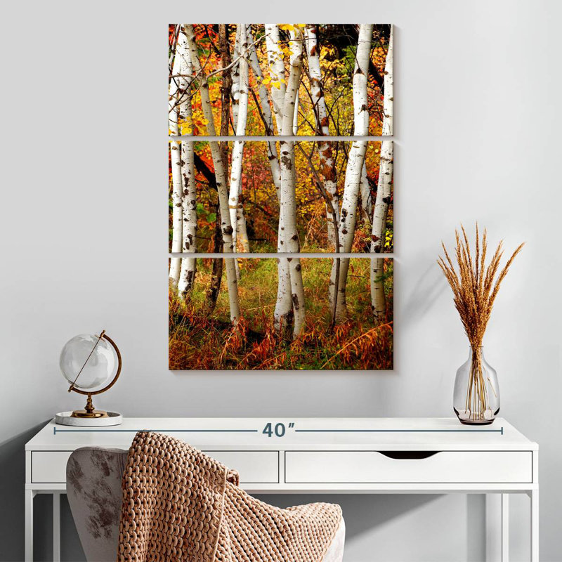 Alvord Slender Birch Trunks