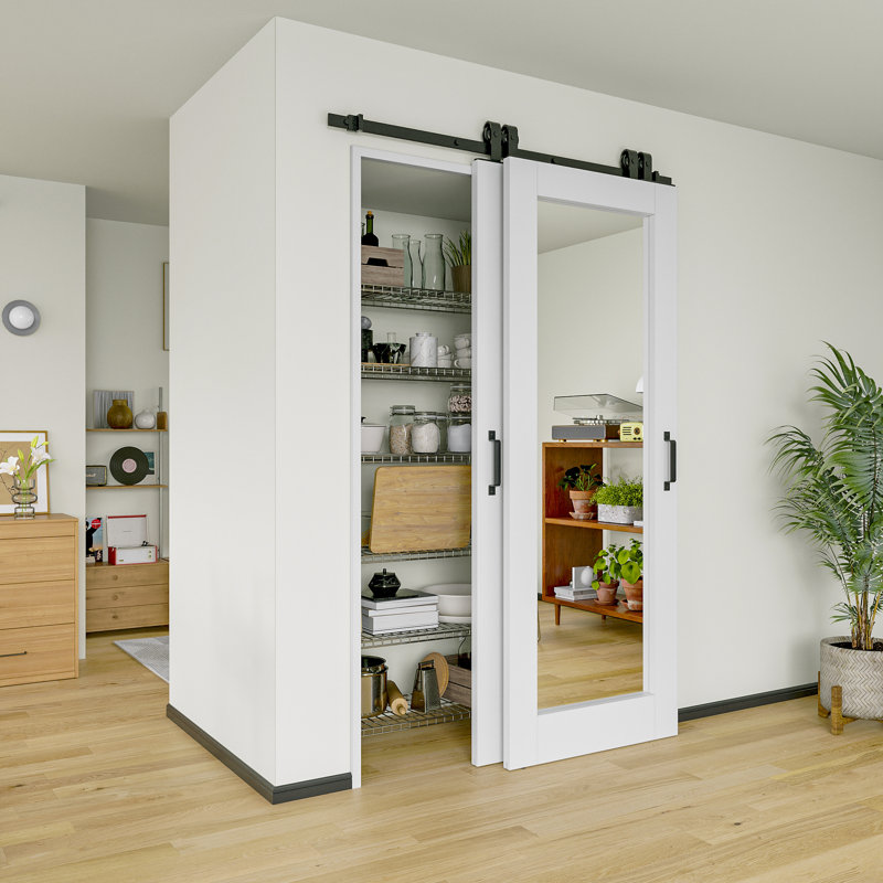 Porte de grange coulissante 56 x 80 avec porte coulissante en verre 1-Lite apprêté blanc 1-Lite avec quincaillerie d'installation / aucun assemblage requis