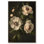 «White Pivoines in Dark I», toile rétro par Botanicals 