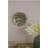 D10x1.4" Succulent Wall Plaque, 2 Piece