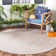 Arneshia Beige/Brown Indoor/Outdoor Area Rug