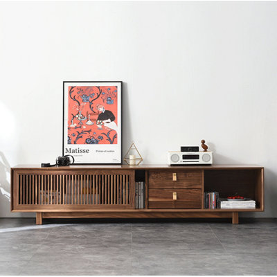 Modern Minimalist TV Cabinet